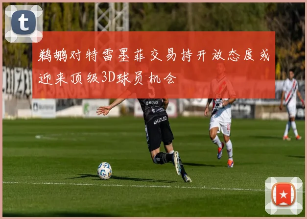 鹈鹕对特雷墨菲交易持开放态度或迎来顶级3D球员机会