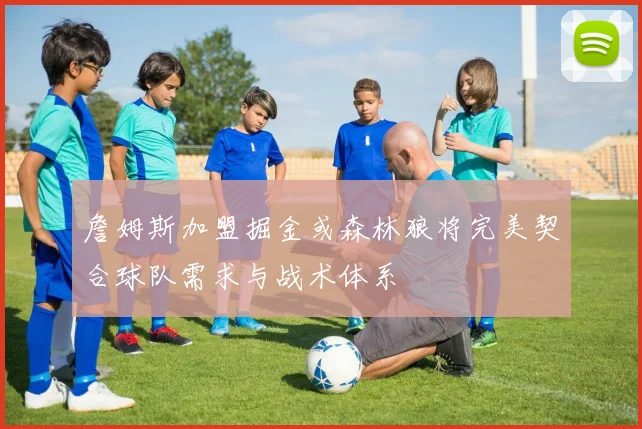 詹姆斯加盟掘金或森林狼将完美契合球队需求与战术体系