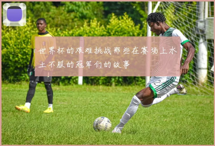 世界杯的艰难挑战那些在赛场上水土不服的冠军们的故事
