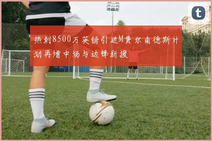 热刺8500万英镑引进M费尔南德斯计划再增中场与边锋新援