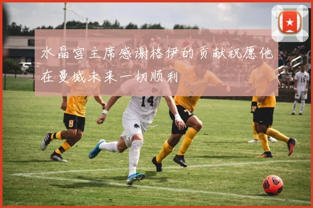 水晶宫主席感谢格伊的贡献祝愿他在曼城未来一切顺利